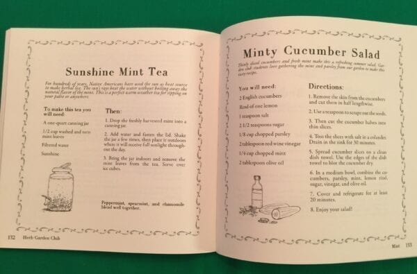 Sunshine Mint Tea and Minty Cucumber Salad recipes