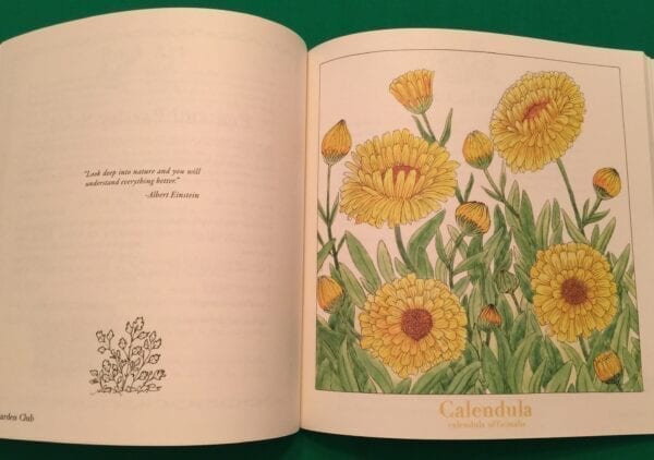 Calendula flowers art in the second book