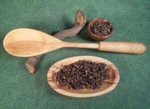 Wooden ladle and cloves in a wooden bowl