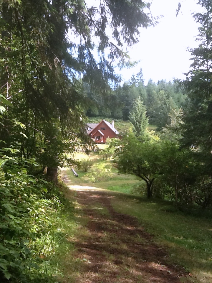 A path surrounded with trees and a house at the end